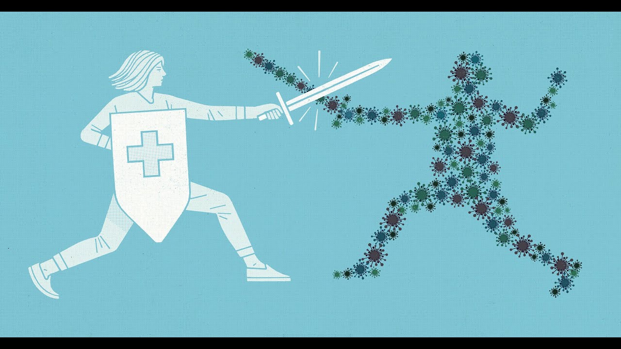 introduction to immunology (Part Two)