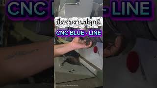 จบงานปลุกผี CNC BLUE-LINE PARAMETER หายเลยจอดตายมา 3 เดือน