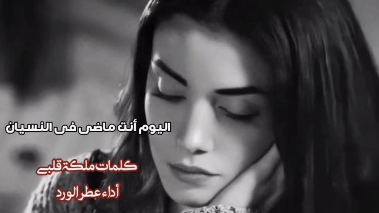 يامن كنت كل حروفى اليوم انت ماضٍ فى النسيان 💔#شعر #قصيدة @queen55-r9k