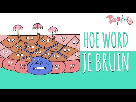 Video: Hoekom word konifere bruin in die somer?