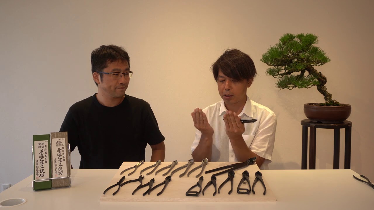 kkk　悦郎作　盆栽　枝切り Kaneshin Blade Branch Cutter, All Products Bonsai - YouTube