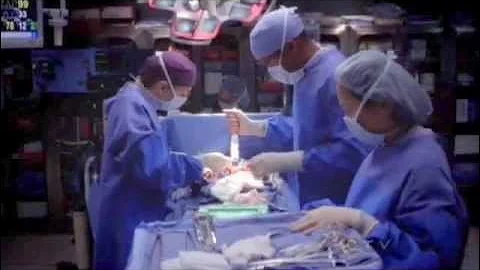 9x12 Meredith Pregnancy Hormones
