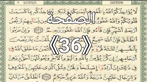 الصفحة رقم《36》 القرآن الكريم الشيخ أيمن سويد