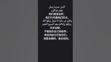 القرآن الكريم    ‏ 古兰经   ‏اللغة الصينيه    ‏ 中文