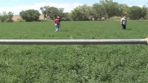 IWM-Reading an Established Soil Moisture Monitor