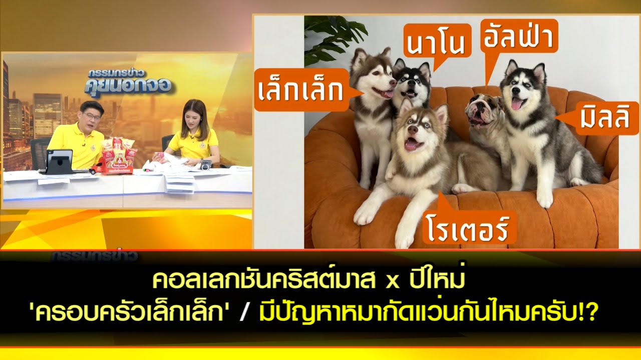 คอลเลกชันคริสต์มาส x ปีใหม่ 'ครอบครัวเล็กเล็ก' / มีปัญหาหมากัดแว่นกันไหมครับ!?