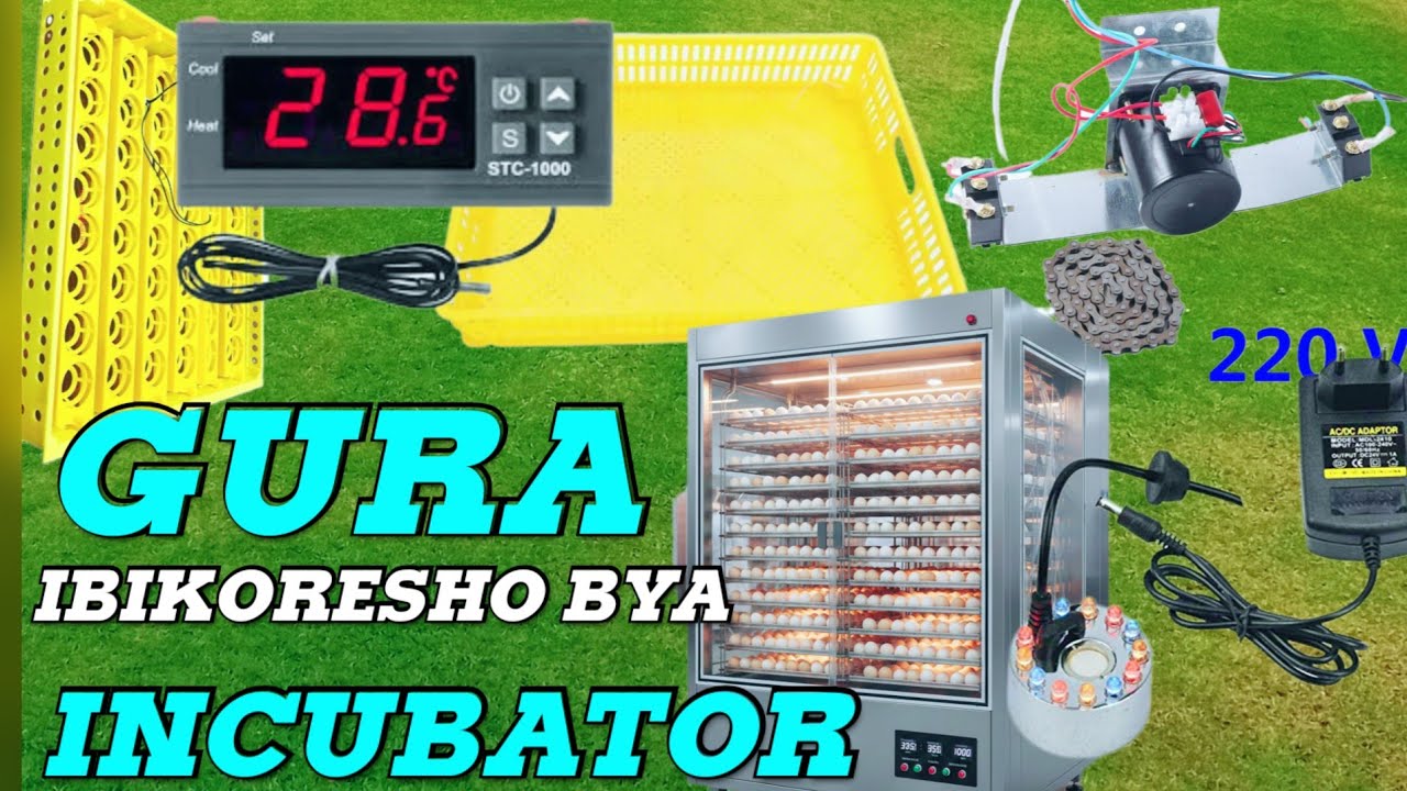 💰IBIKORESHO BIHENDUTSE BIFASHA GUKORA INCUBATOR NEZA 🔥
