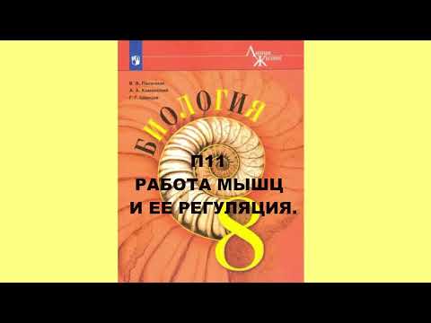 П11 РАБОТА МЫШЦ И ЕЕ РЕГУЛЯЦИЯ. БИОЛОГИЯ 8 КЛАСС, АУДИОУЧЕБНИК, СЛУШАТЬ ОНЛАЙН АУДИО