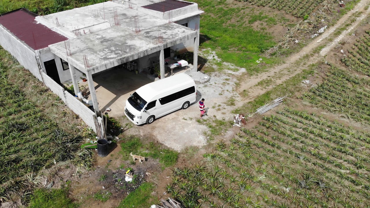 Tagaytay Pineapple farm Drone 4K YouTube