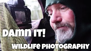 Was it me? - The frustrations of wildlife photography
