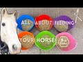 All about feeding your horse beginners series ad  this esme