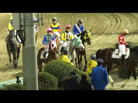 【チバテレ盃(準重賞)’2019】ベンテンコゾウやキングガンズラングなどがレース後に戻ってくるところ
