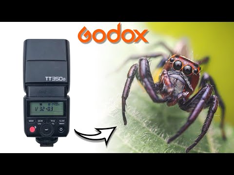 🎥 Godox TT350 Review for Macro Photography — Video review, click xem trên YouTube