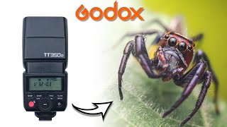 Godox TT350 Review for Macro Photography