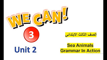 الصف الثالث الابتدائي Sea Animals Grammar in Action