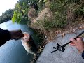 【バス釣り】冬の野池　リボルテージ　フリーリグ　ベローズスティック　Bass Fishing