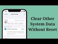 How To Clear Other System Data on iPhone Without Reset on iOS 17