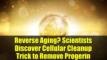 Reverse Aging? Scientists Discover Cellular Cleanup Trick to Remove Progerin