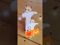 الاكتر طلبا ميار ميار ترند السعودية ترند Funny العراق Shory Shorts الاكتر طلبا ميار ميار ترند السعودية ترند Funny العراق Shory Shorts