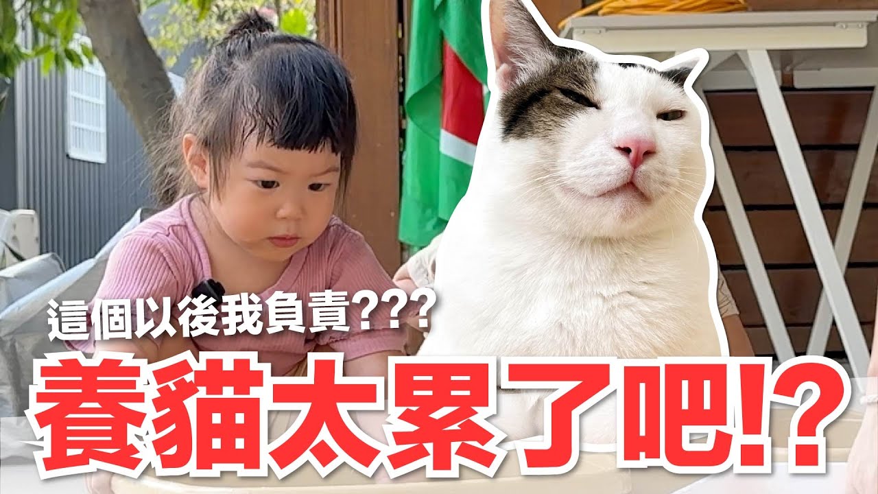 【好味小姐】養貓太累了吧！？這個以後我負責？？？｜好味貓日常258