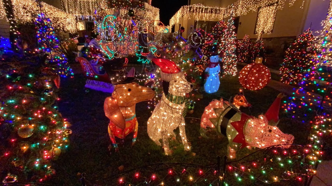 Walk with me through Christmas Tree Ln San Carlos, CA. Merry Merry