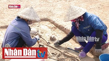 Phương án di dời di chỉ khảo cổ học Vườn Chuối