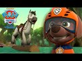 Zuma Sauve Un Poney Des Rapides De La Rivière La Pat Patrouille PAW Patrol Compilation 