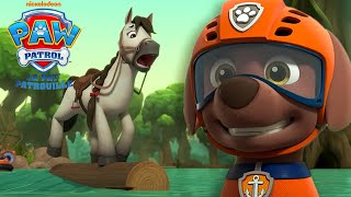 Zuma Sauve Un Poney Des Rapides De La Rivière La Pat Patrouille Paw Patrol Compilation
