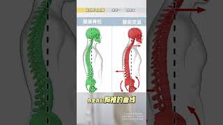 站直了就喘不过气可能是因为这个