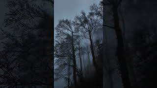 #viral #chill #chill #dark #dark #youtubeshorts #sad #shorts