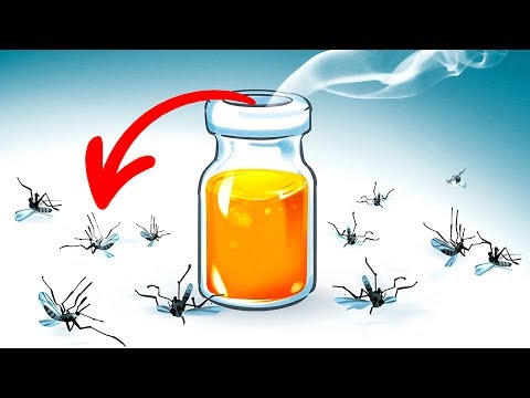 וִידֵאוֹ: ונילין מפני יתושים, או איך להגן על עצמך מפני חרקים מעצבנים