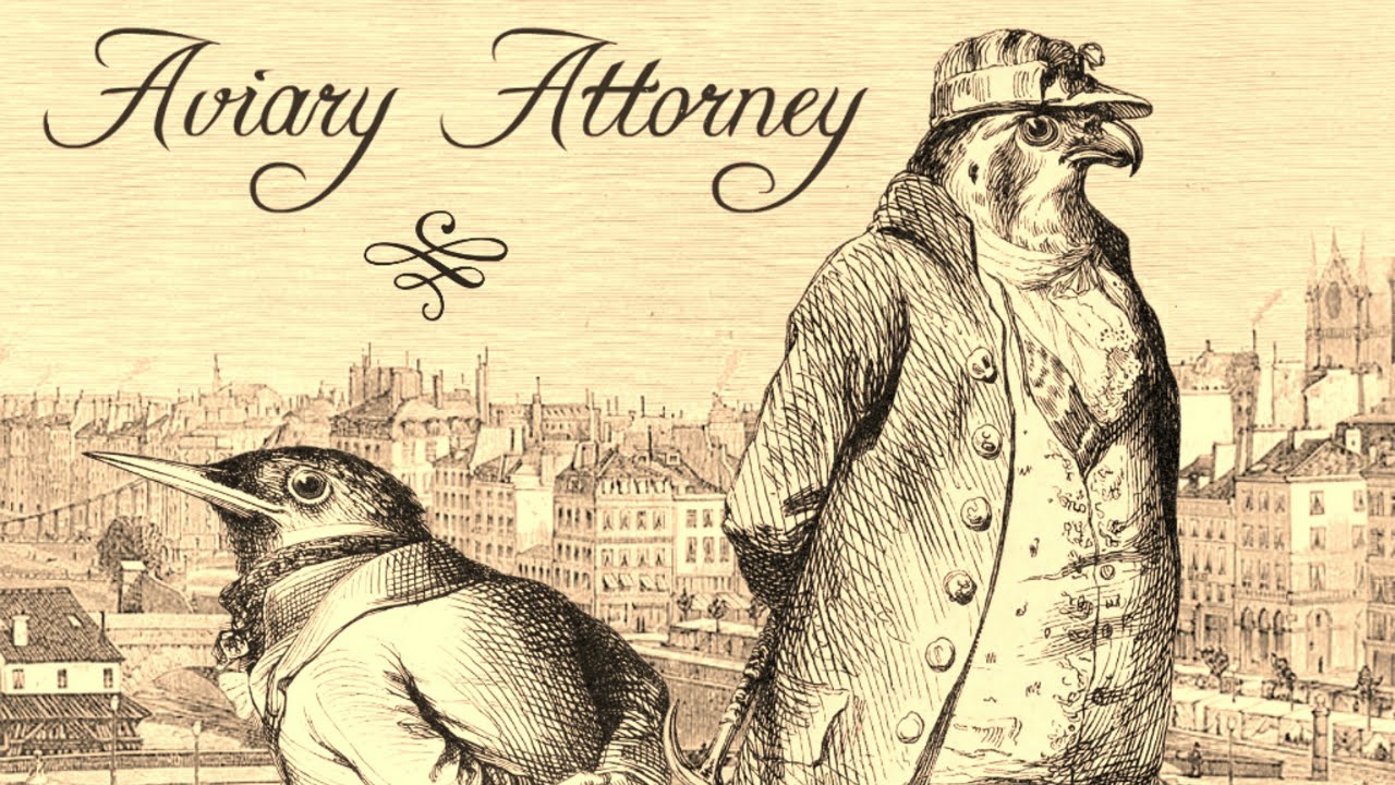 Aviary Attorney Bird Lawyers & Terrible Puns YouTube