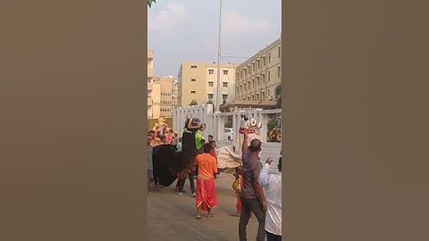 bhubaneswar Durga puja bhasani  sum hospital #viral #dance #professionalaudio #youtubeshorts #duet