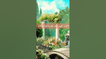 القرآن الكريم راحة نفسية #بدون_حقوق