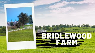 HCTV Behind The Gate: Bridlewood Farm