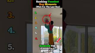Ranking Funniest Bug Moments 🤣#shortsviral #funny