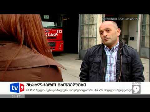 ახალი 9 | უსახლკარო ცხოველები | 16.02.13