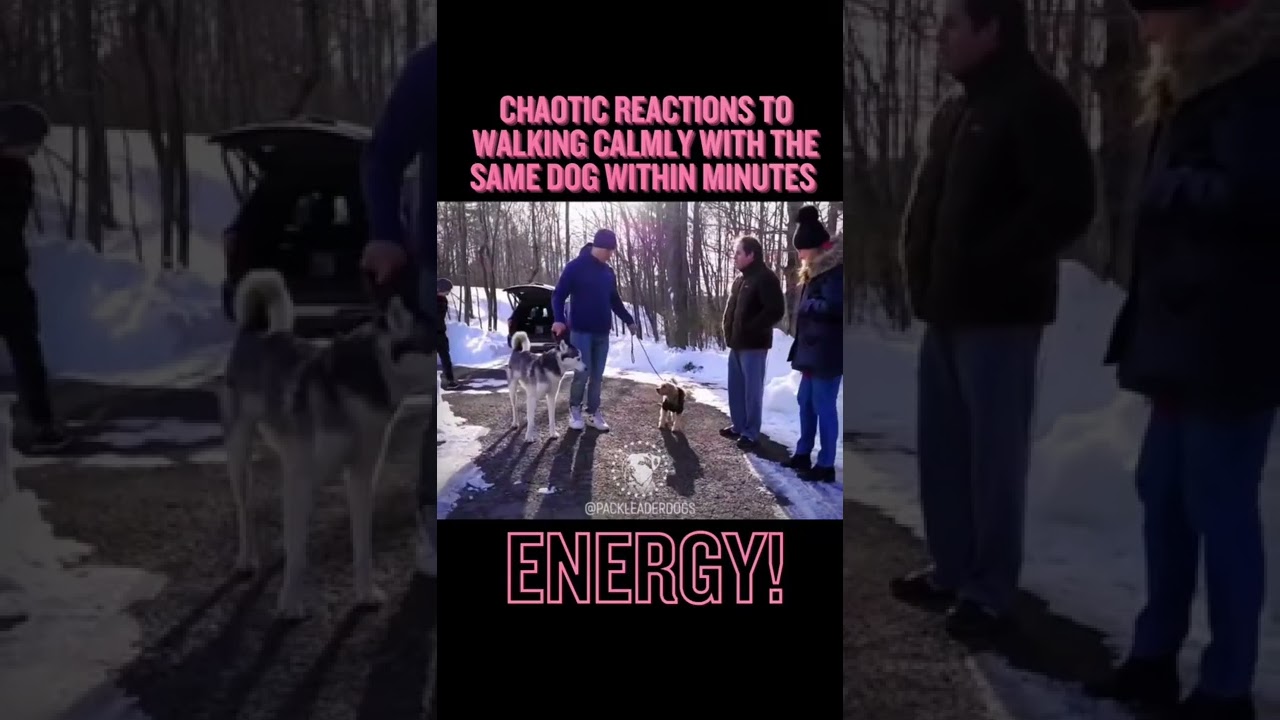 A change of energy in the human makes all the difference.