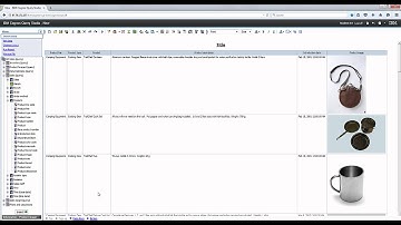 IBM Cognos Query Studio Training - Prompting Demo 1-10 || Cresco International