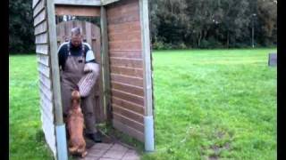 Malinois Alexis, Bitework - In Training Ipo I