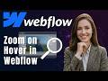 Wie man einen Zoom-In Hover Effekt in Webflow erstellt | Ohne Code