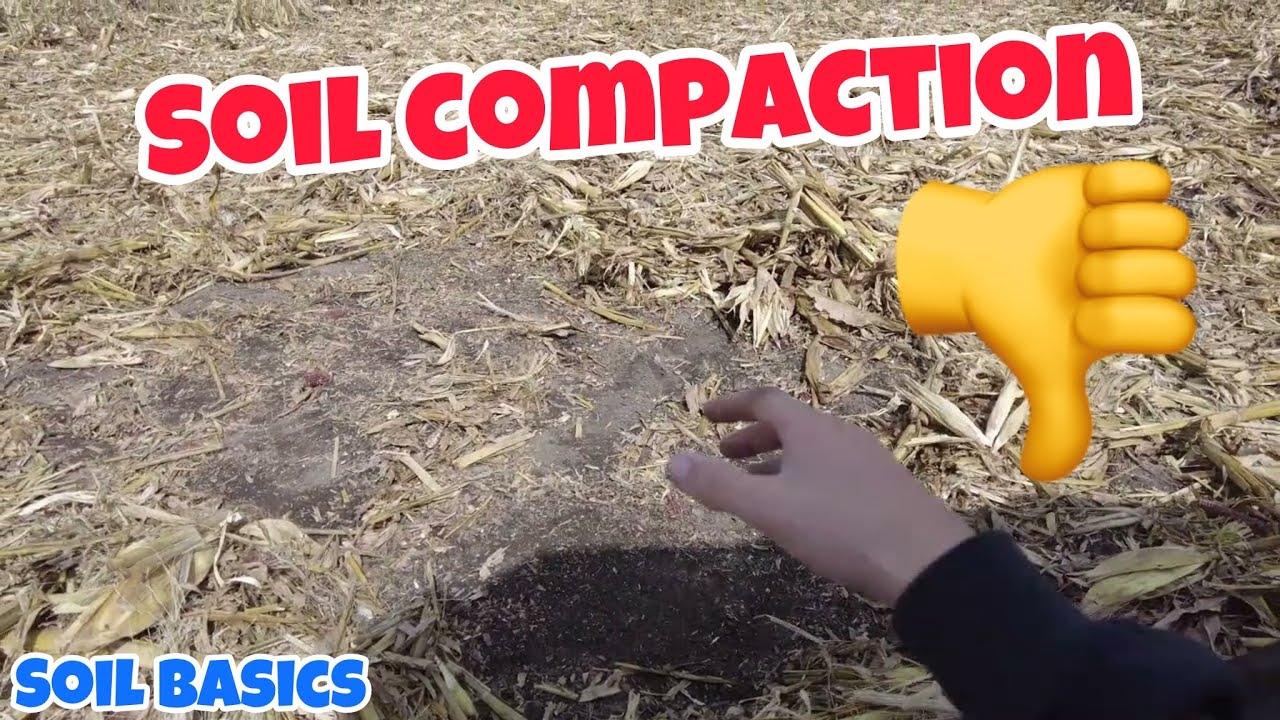 Soil Basics - Soil Compaction - YouTube