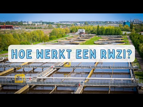 Video: Retourkleppen voor riolering: foto, apparaat, installatie, beoordelingen. Doe-het-zelf terugslagklep voor riolering