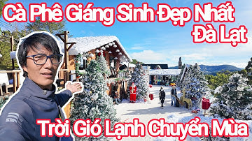 Đà Lạt Phát Hiện CàFé Giáng Sinh Đẹp Nhất Để Sống Ảo