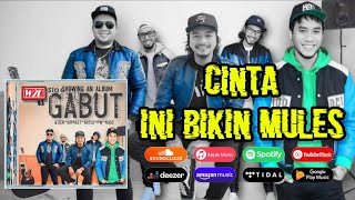 CINTA INI BIKIN MULES