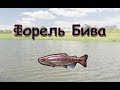 Русская Рыбалка 3.99 (Russian Fishing) Форель Бива