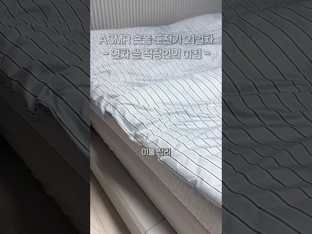 ASMR 연차 쓴 직장인의 외출 전 아침 준비 모닝 루틴?
