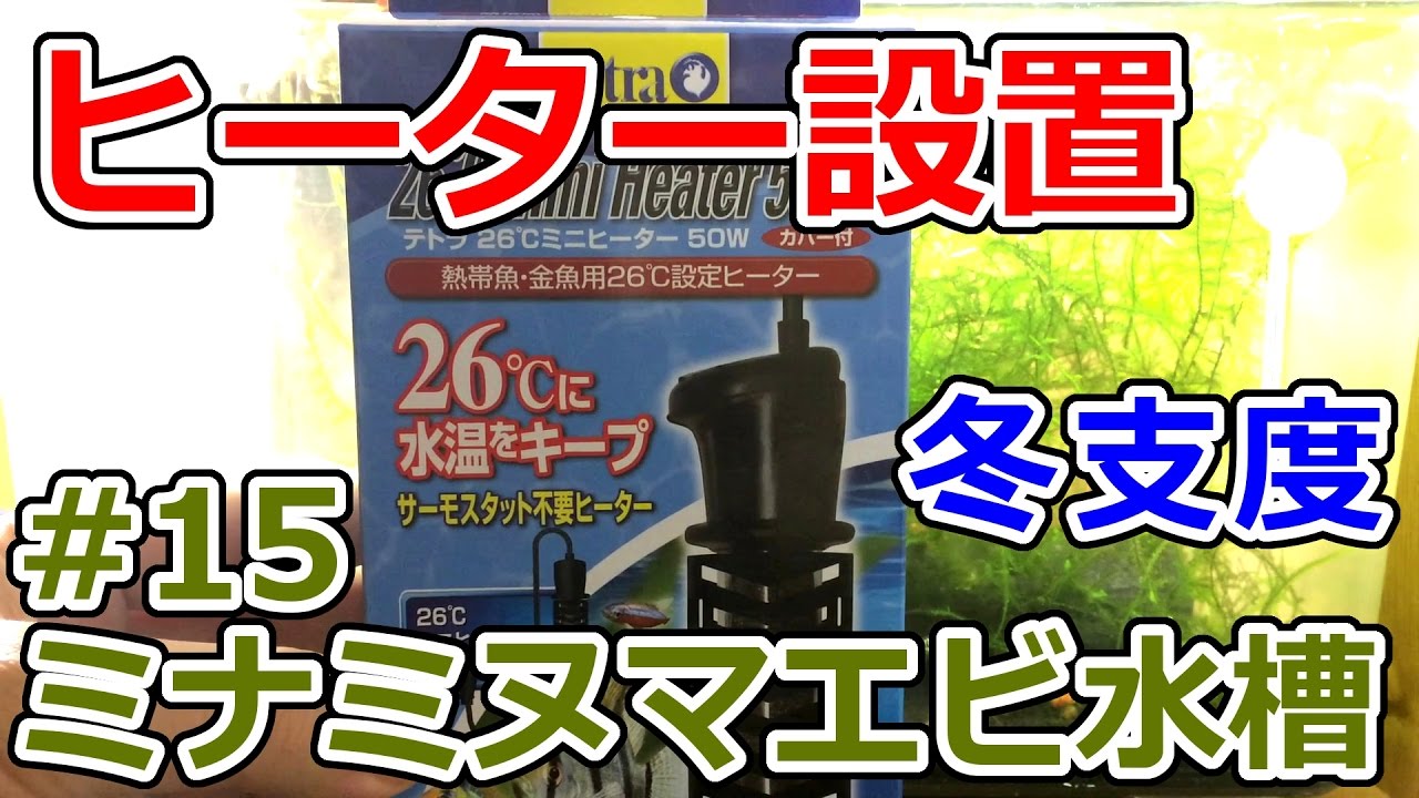 エビアクアリウム テトラの26度ミニヒーター50wを設置してみた結果 ミナミヌマエビ繁殖水槽 15 Youtube