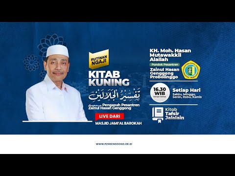 Uydagi mushuk surati