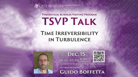 Guido Boffetta - Time Irreversibility in Turbulence (TSVP Talk at OIST)